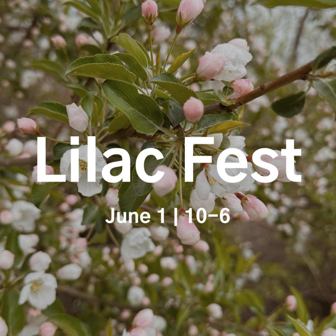 Lilac Fest